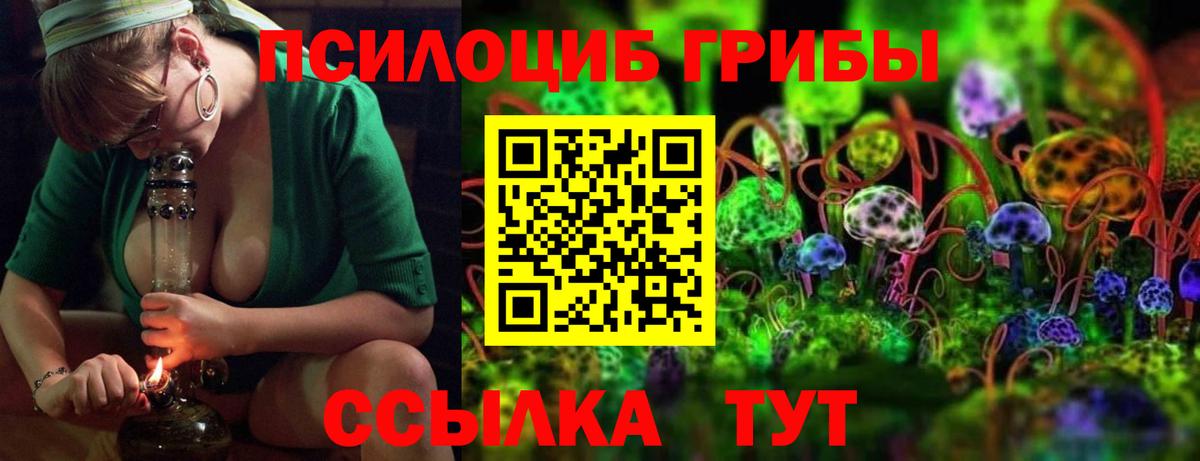 Псилоцибиновые грибы прущие грибы  Вход с VPN  Псилоцибиновые грибы прущие грибы  Куйбышев 